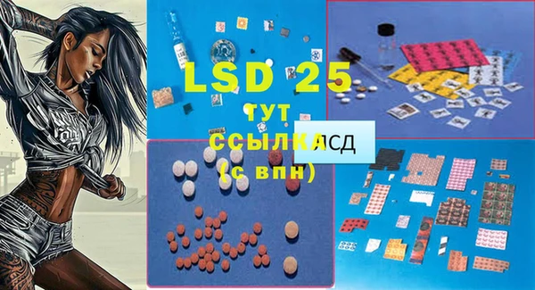 хмурый Инта