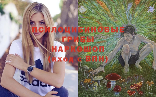 эйфоретик Аркадак