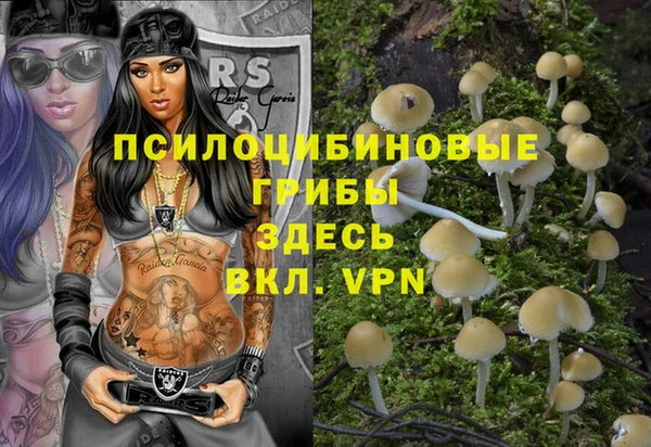 эйфоретик Аркадак