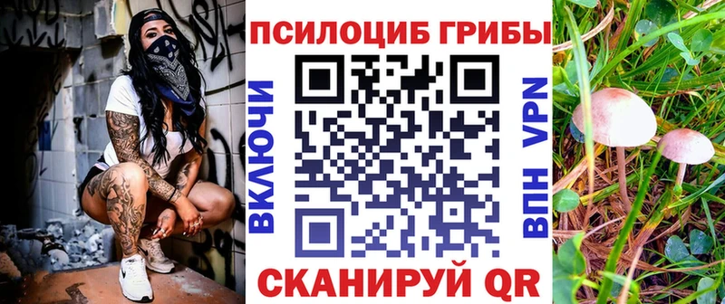 Галлюциногенные грибы Psilocybine cubensis  Михайловка 